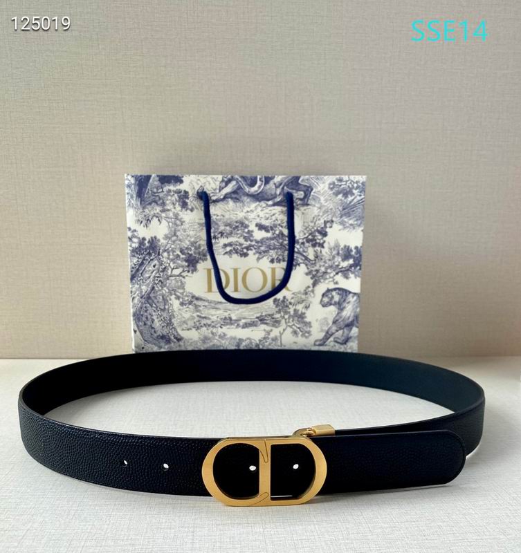Dior belt 35mX95-125cm XH (5)
