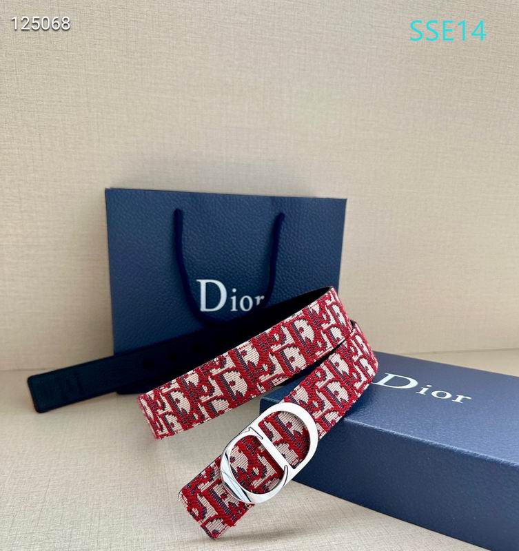 Dior belt 35mX95-125cm XH (63)
