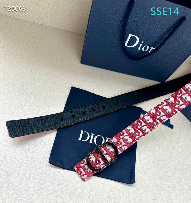 Dior belt 35mX95-125cm XH (67)