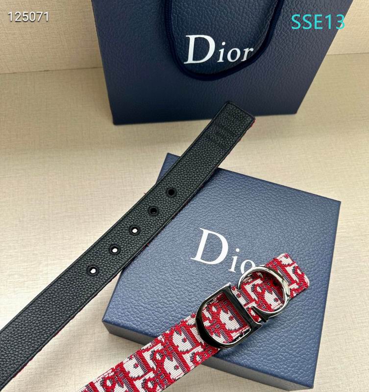 Dior belt 35mmX95-125cm XH (14)