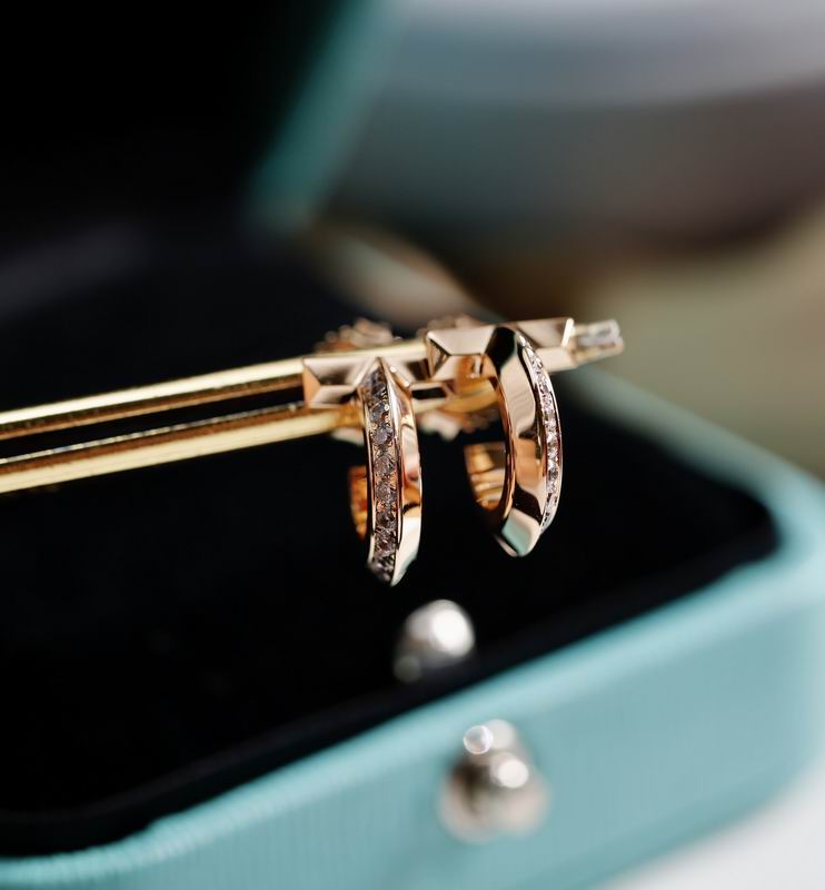 Tiffany earring 04lyx32 (9)