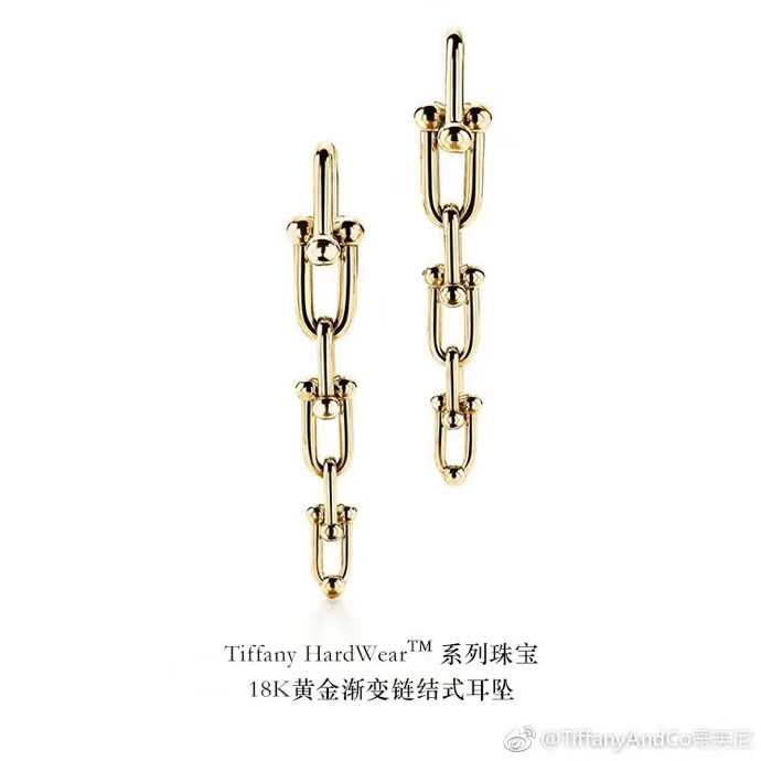 Tiffany earring 04lyx35 (11)