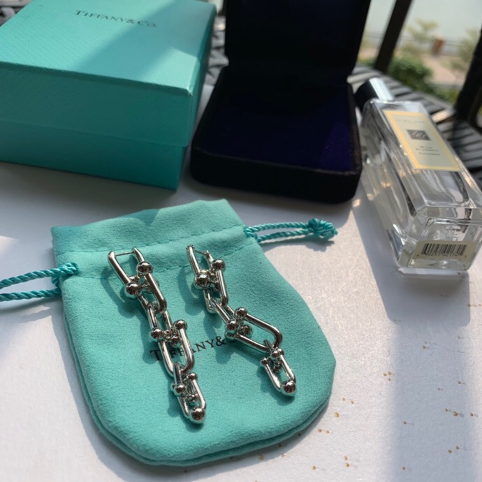 Tiffany earring 04lyx35 (14)