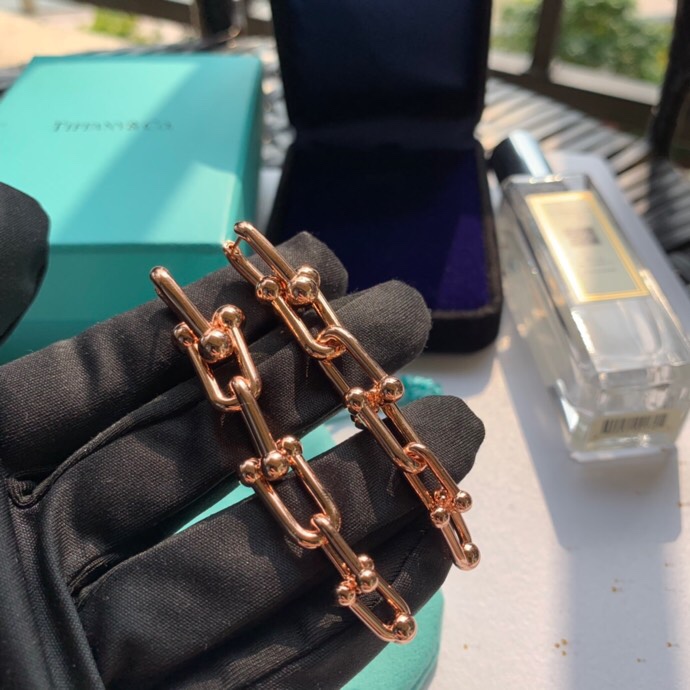 Tiffany earring 04lyx35 (17)