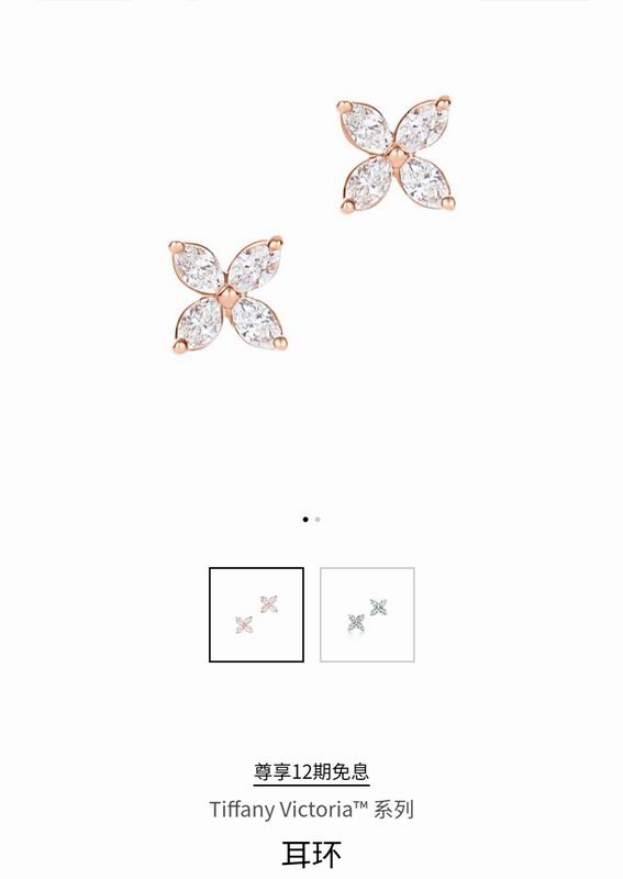 Tiffany earring 04lyx42 (2)