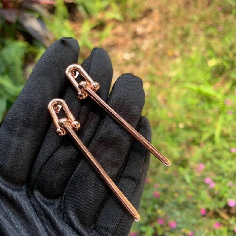 Tiffany earring 04lyx54 (7)