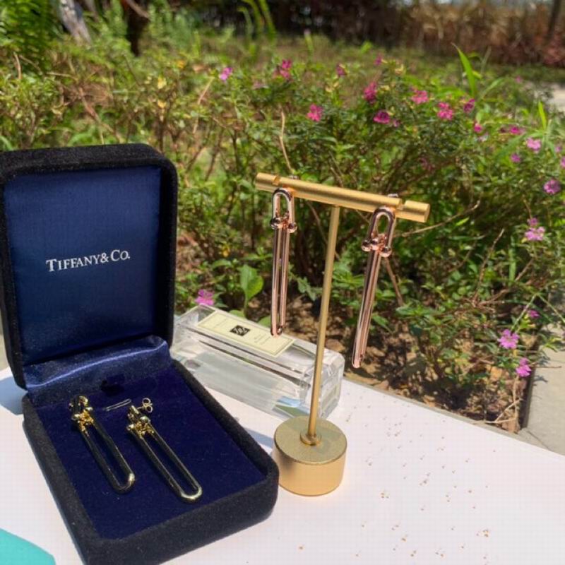 Tiffany earring 04lyx54 (8)