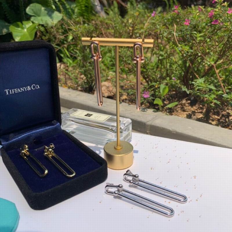 Tiffany earring 04lyx54 (9)