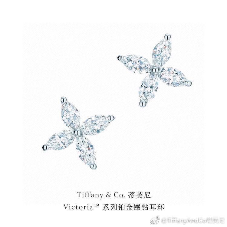 Tiffany earring 04lyx58 (1)