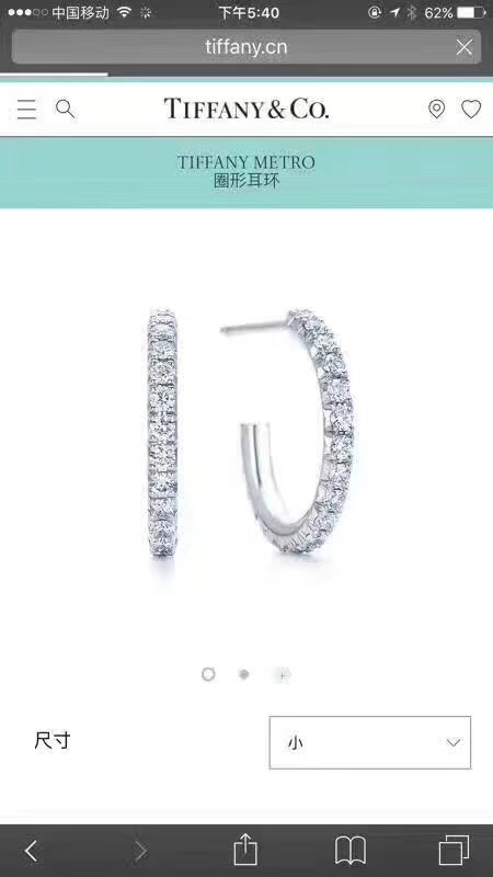 Tiffany earring 04lyx65 (1)