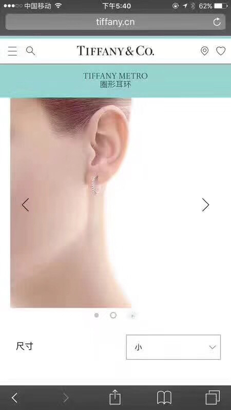 Tiffany earring 04lyx65 (3)