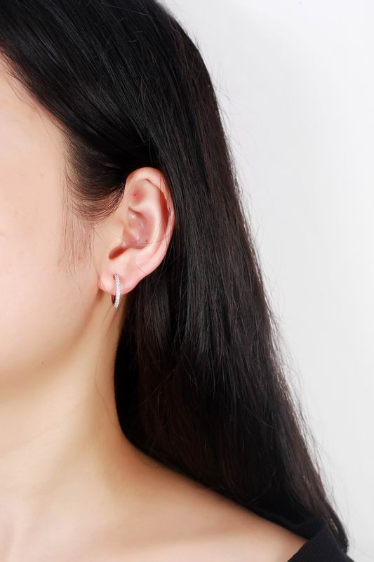 Tiffany earring 04lyx65 (6)