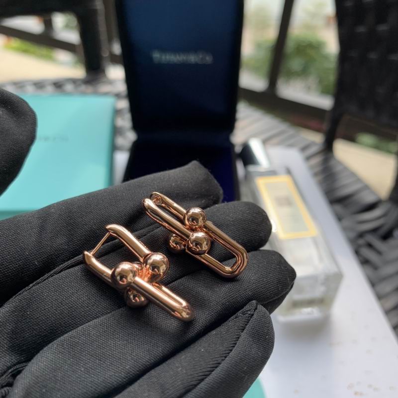 Tiffany earring 05lyx73 (8)