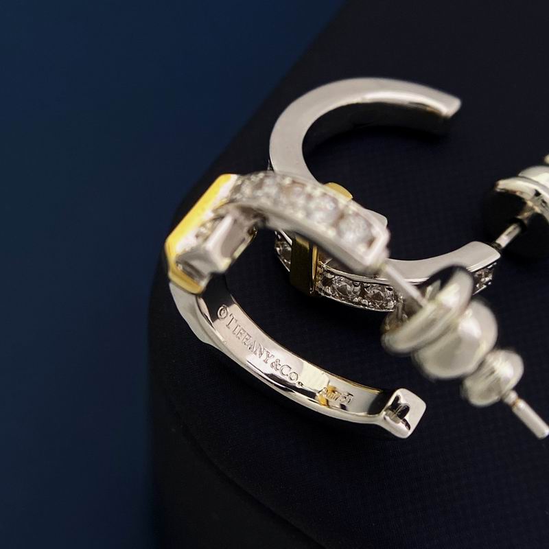 Tiffany earring 06lyx79 (8)