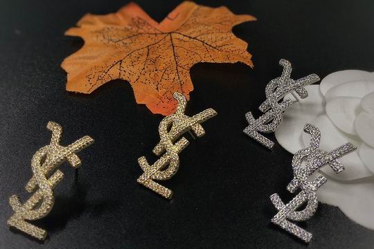 YSL Earrings 03lyh164 (4)