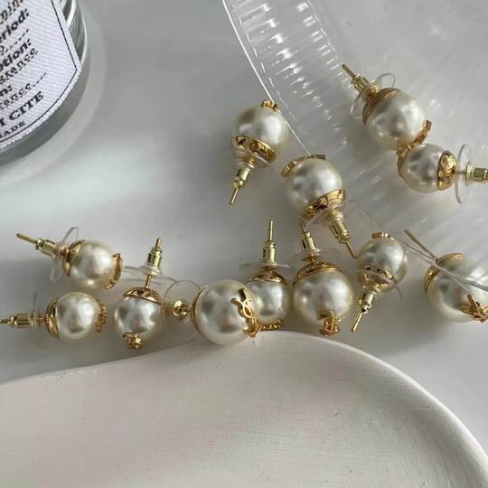 YSL Earrings 03lyh174 (6)
