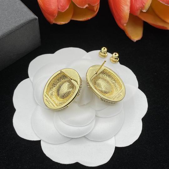 YSL Earrings 03lyh183 (4)