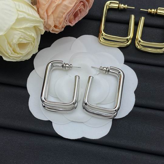 YSL Earrings 03lyh193 (4)
