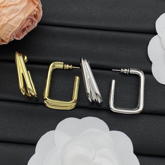 YSL Earrings 03lyh193 (5)