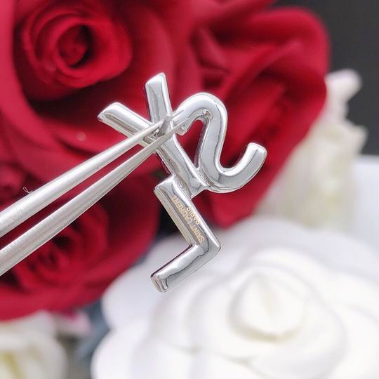 YSL Earrings 04lyh197 (4)