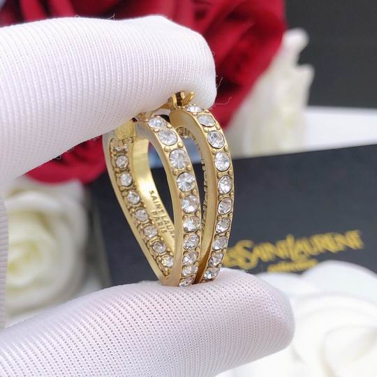 YSL Earrings 04lyh198 (2)