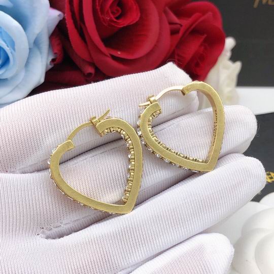 YSL Earrings 04lyh198 (3)