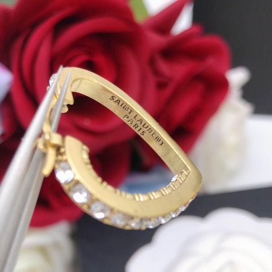 YSL Earrings 04lyh198 (4)