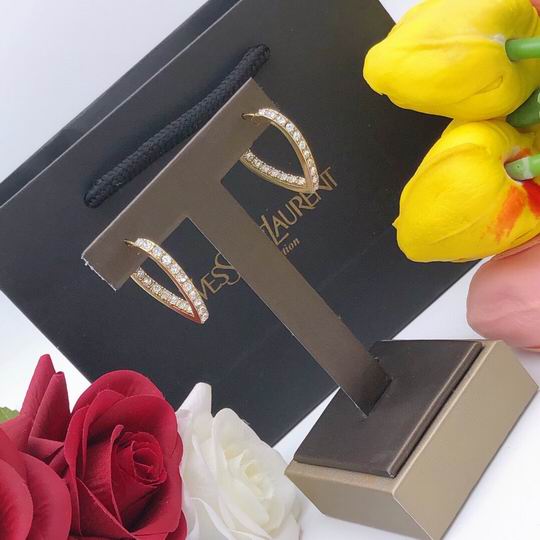 YSL Earrings 04lyh198 (7)