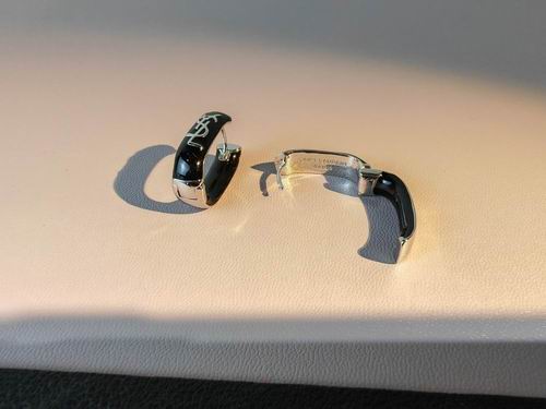 YSL Earrings 05lyh213 (11)