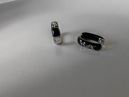 YSL Earrings 05lyh213 (12)