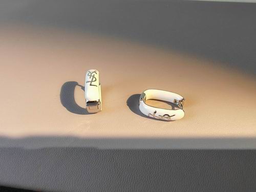 YSL Earrings 05lyh213 (5)