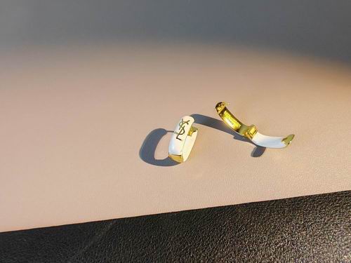 YSL Earrings 05lyh213 (8)