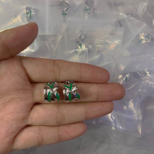 YSL Earrings 05lyh217 (1)