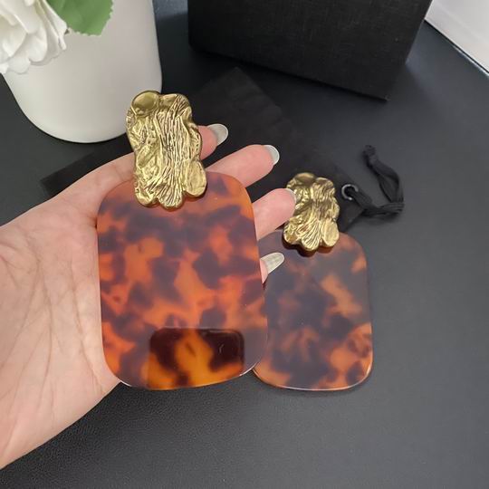 YSL Earrings 05lyh235 (6)