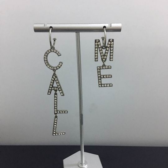 YSL Earrings 05lyh237 (5)