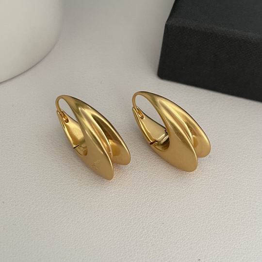 YSL Earrings 05lyh246 (4)