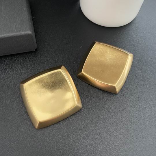 YSL Earrings 05lyh247 (2)