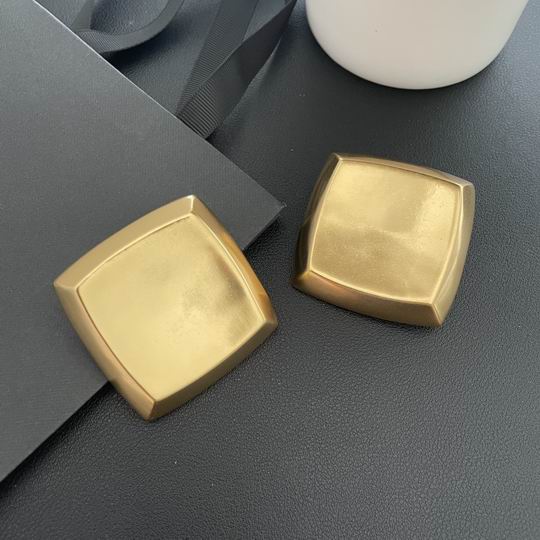 YSL Earrings 05lyh247 (4)