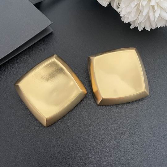 YSL Earrings 05lyh247 (5)