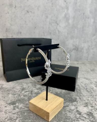 YSL Earrings 05lyh249 (2)