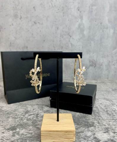 YSL Earrings 05lyh249 (7)