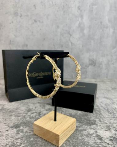 YSL Earrings 05lyh249 (8)