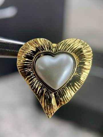 YSL Earrings 05lyh254 (3)