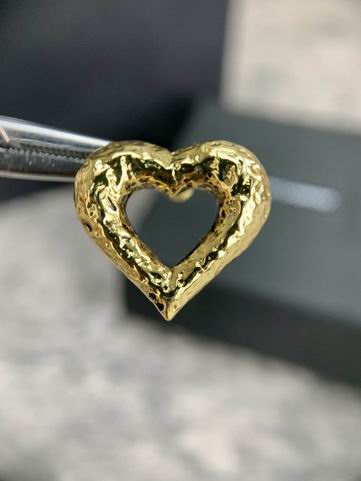 YSL Earrings 05lyh255 (3)