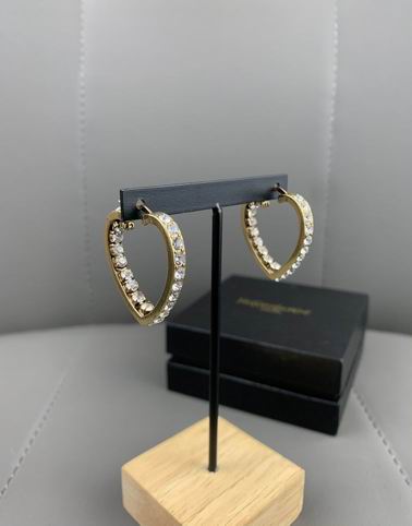 YSL Earrings 05lyh256 (11)