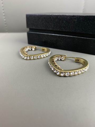 YSL Earrings 05lyh256 (12)