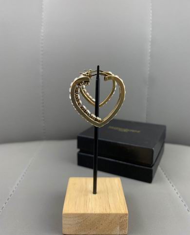 YSL Earrings 05lyh256 (14)