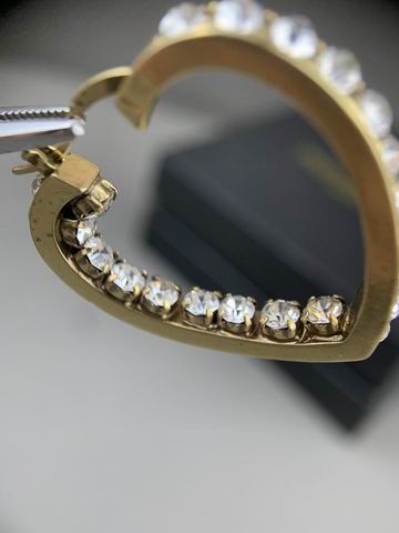 YSL Earrings 05lyh256 (15)