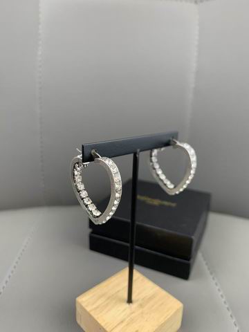 YSL Earrings 05lyh256 (2)