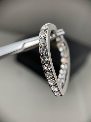 YSL Earrings 05lyh256 (4)